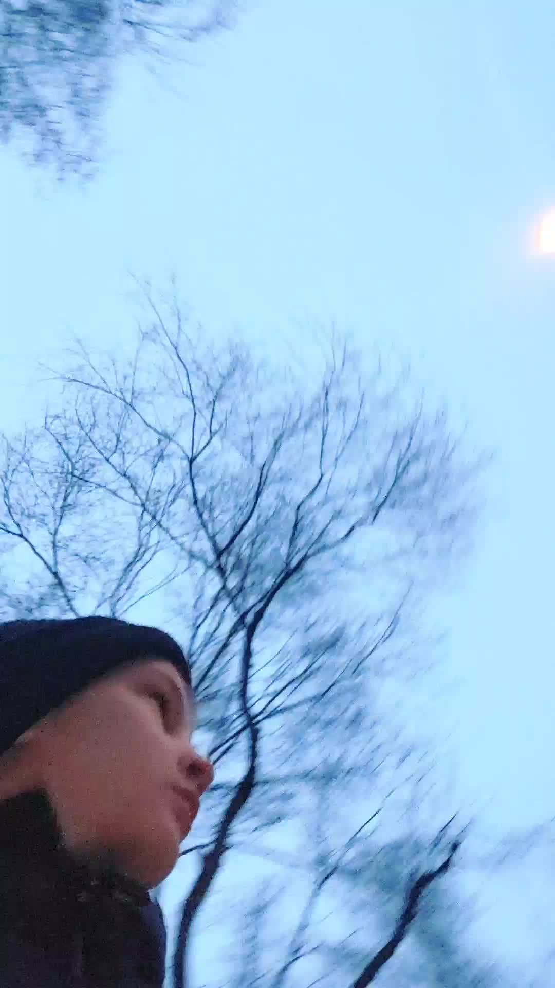 школа