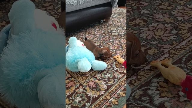 1000057236.mp4