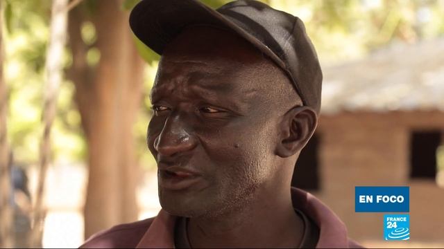 Los frutos de baobab están cambiando la vida de algunos habitantes en Senegal