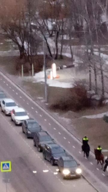 Конная полиция в дозоре (22.01.25.) вечер 16:45