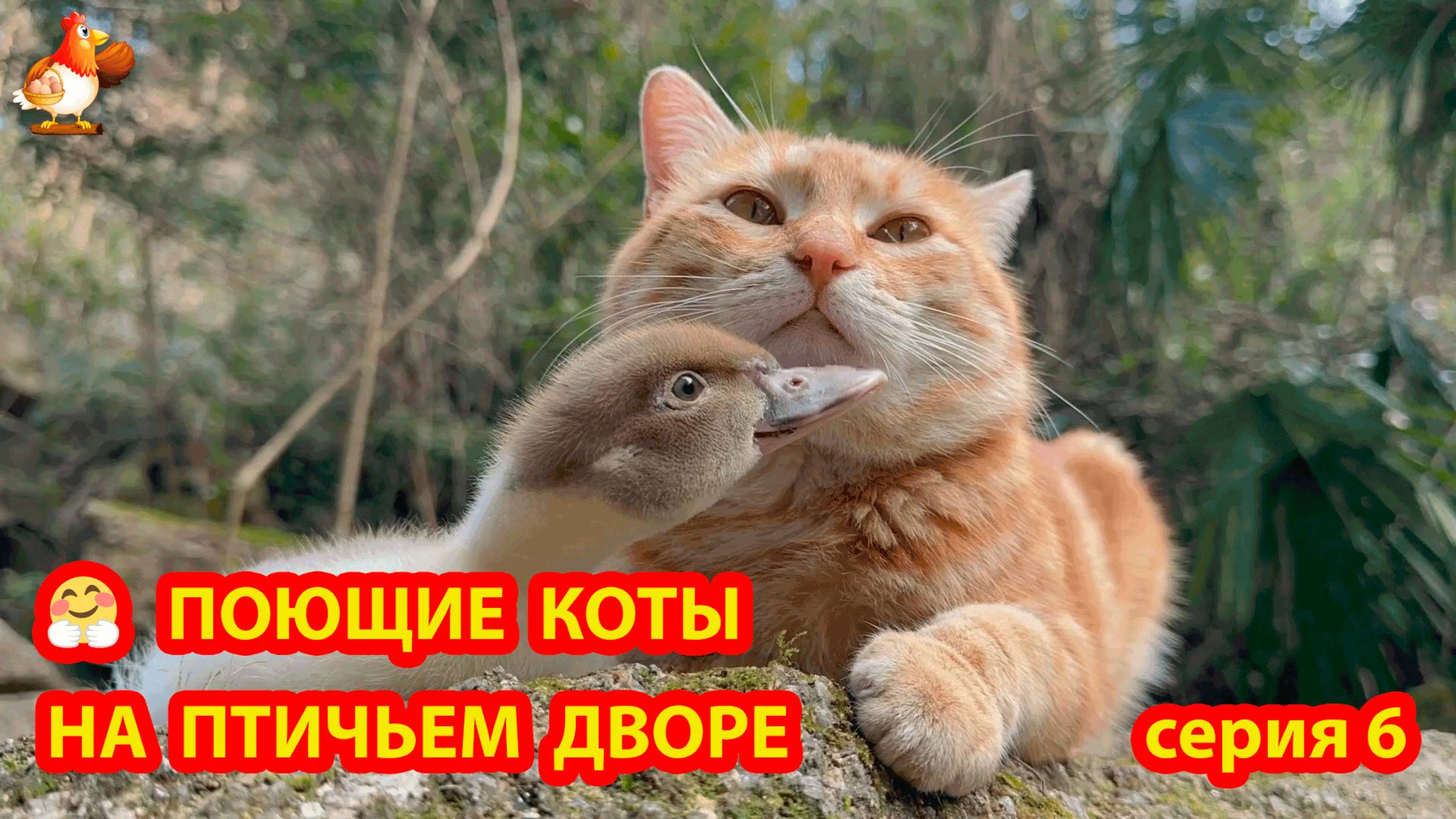 Крутые коты у птичьего двора серия 6 🐈🐈⬛😹 Природа Абхазии и подворье с птицами и животными ❣️