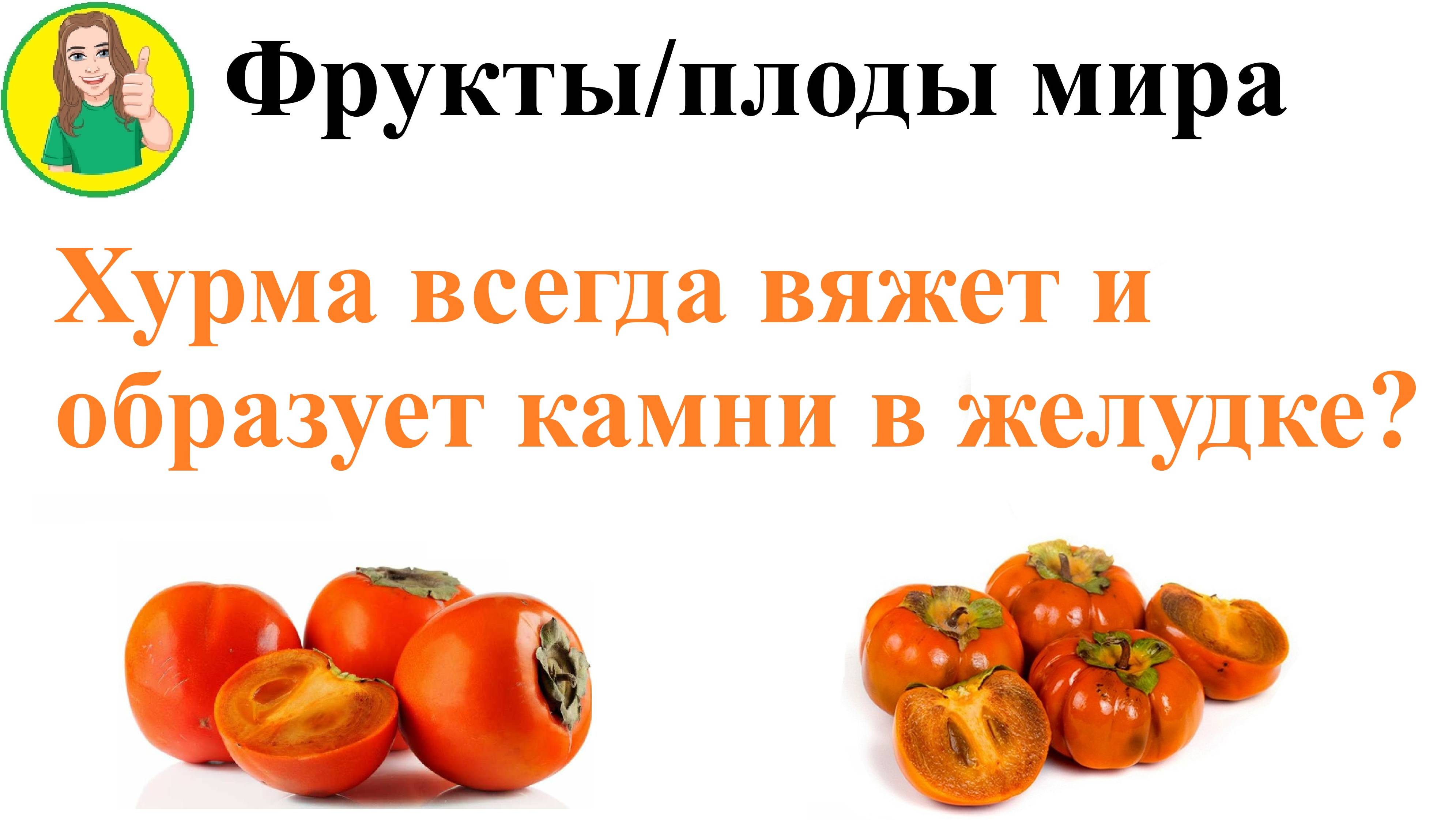 Фрукты - плоды мира 61 – Хурма вяжет и образует камни в желудке? Фитобезоары