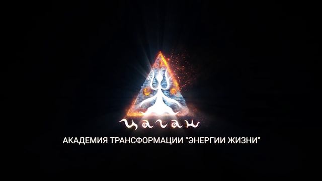 Отзывы