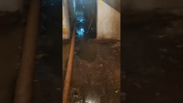 Добрый день, прошу принять к сведению и посмотрите до конца, дайте, пожалуйста, огласку, спасибо бол