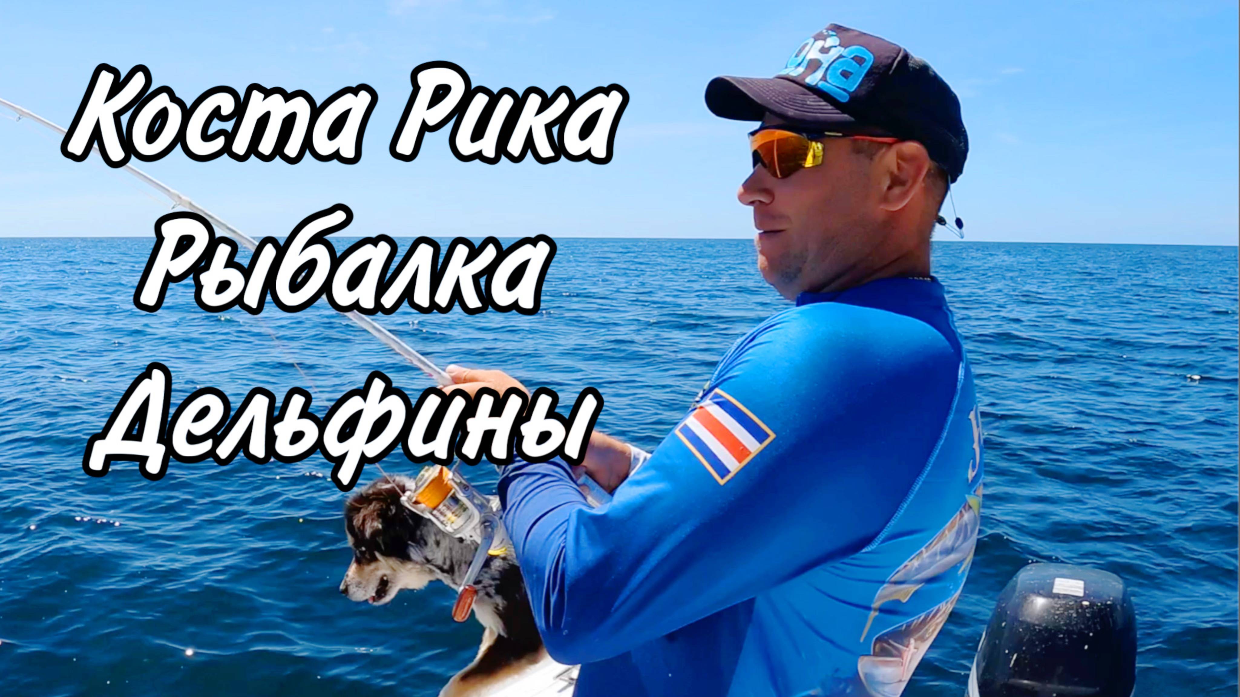 СОНАР ТЕМА ИЛИ НЕТ | ДЕЛЬФИНЫ ЧЕРЕПАХА | И МНОГО РЫБЫ ☺️ | КОСТА РИКА