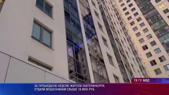 УМВД рейд мошенничество