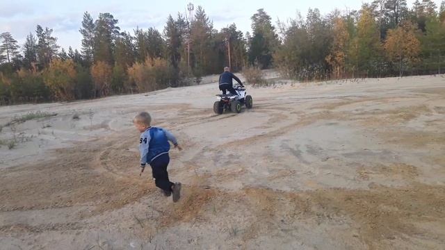Авантис папин квадрик