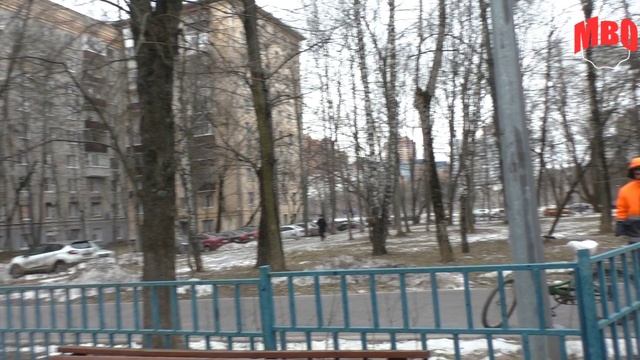 Обрезка без документов у ГБУ Жилищника района Ломоносовский не прошла .