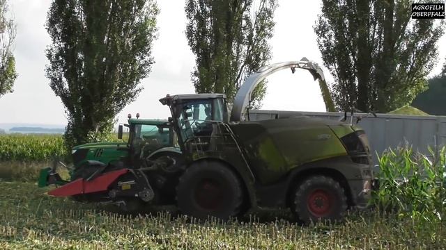 Kolbenfresser - Claas Jaguar 970 bei der Lieschkolbensilage - Maisernte 2018 - LKS