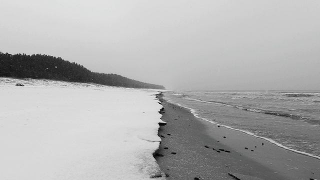 6694420-uhd_3840_2160_30fps