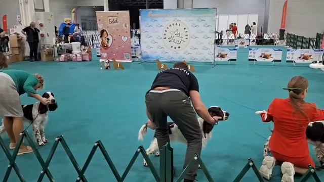 ЛПП 3 место