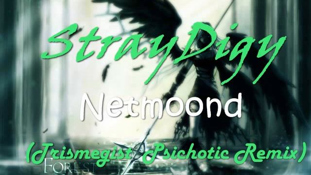 StrayDigy  - (Netmoond Trismegist Psichotic Remix)