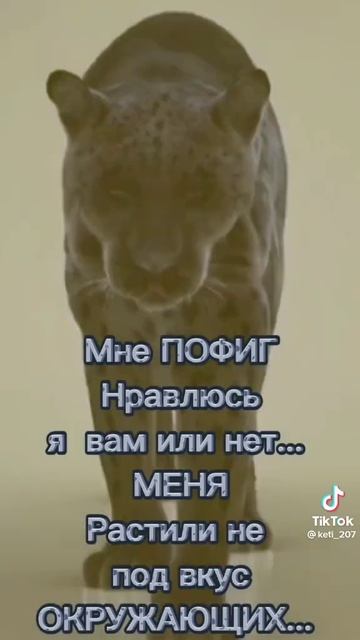 да я такая