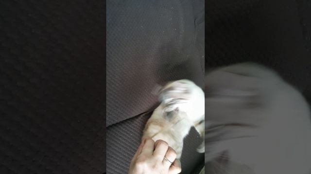 1000006219.mp4