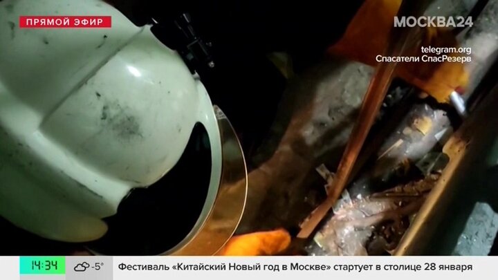 В Конькове спасли кошку, застрявшую под лестницей