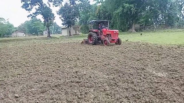 Tector Videos।। টেক্ট্ৰৰে কেনেকৈ পথাৰত হাল বাইছে
