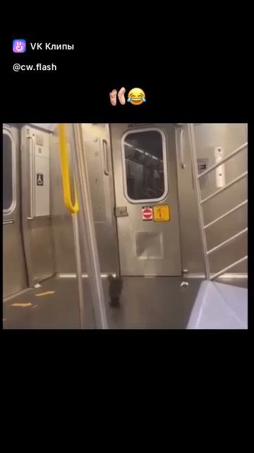 Что тут странного?