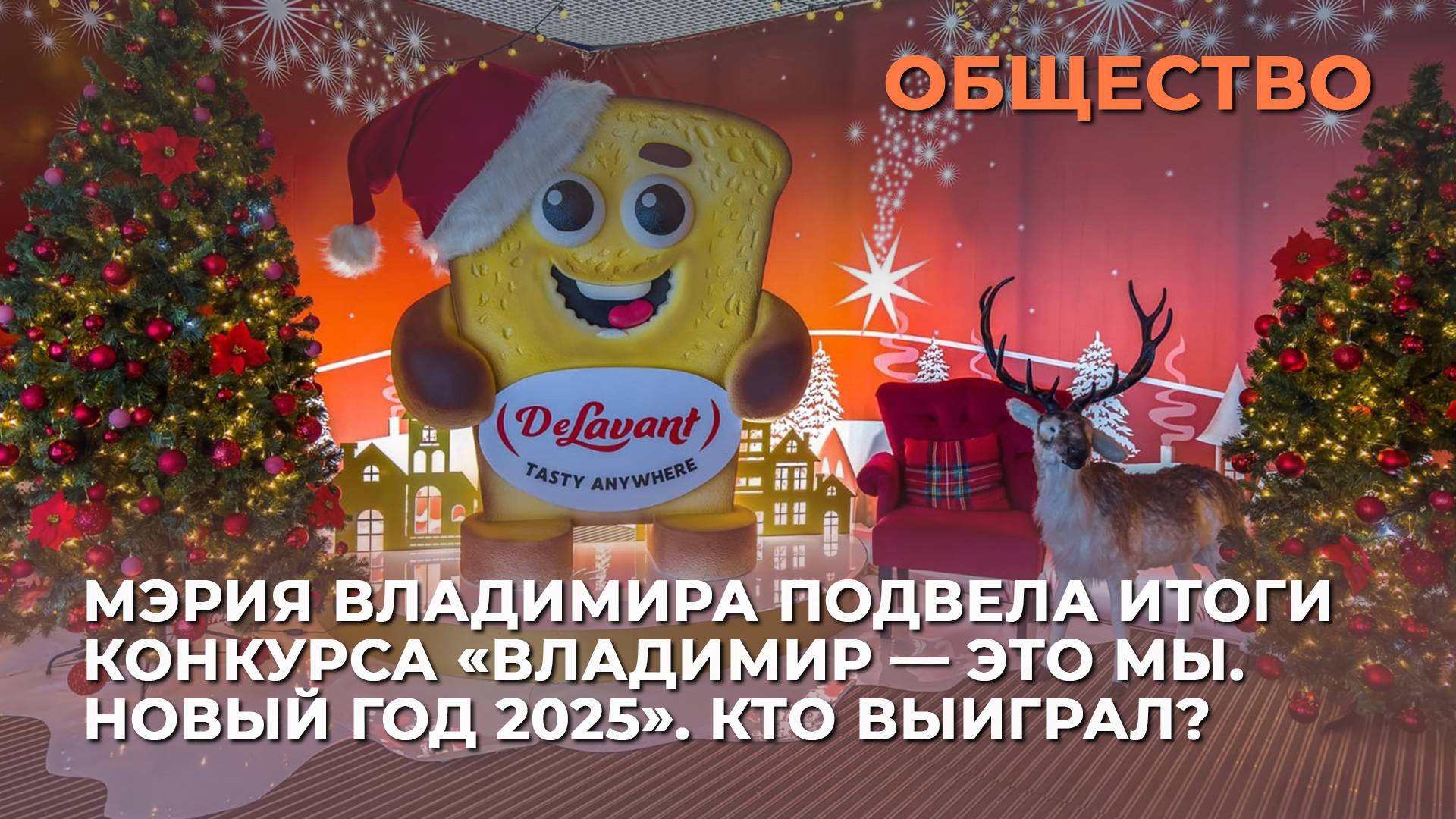 Мэрия Владимира подвела итоги конкурса «Владимир — это мы. Новый год 2025». Кто выиграл?