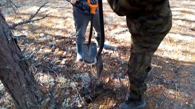 Коп металла на УЖД
