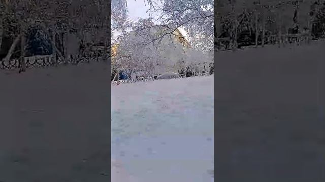 Елена Петровна 👑