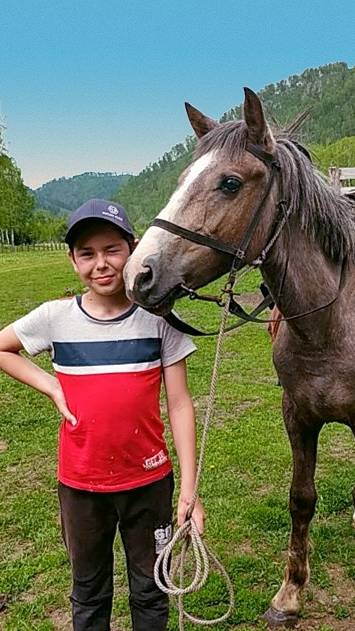 Прекрасные кони на Алтае