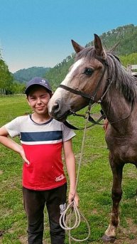 Прекрасные кони на Алтае