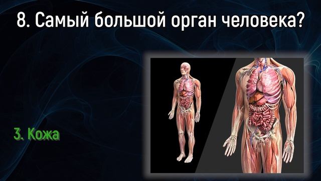 Вы Считаете Себя Эрудитом? Тогда Ответьте На Все Вопросы Теста На Кругозор! | Вспоминая былое