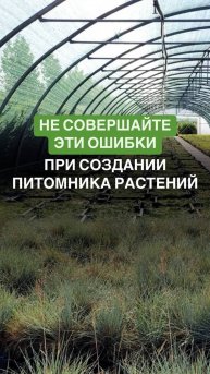 Не совершайте эти ошибки при создании питомника растений #сад #садогород #мойсад #садогород