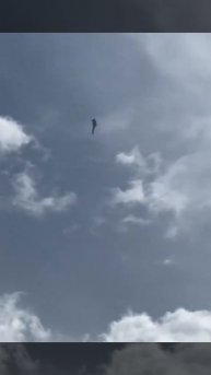 Су-57 на авиашоу в Китае, дух завораживает, законы физики отсутствуют