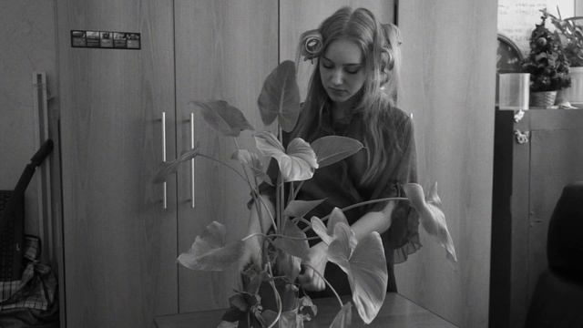 Видео для администраторов. Аллергия Иннокентия