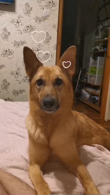 Ева ждет ваших лайков💞💞💞