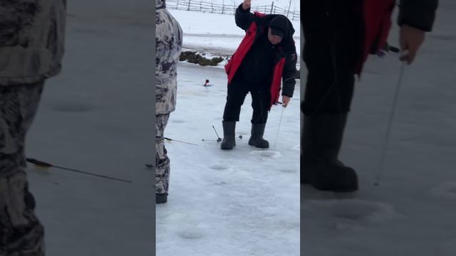 Запуск 100кг форели и некоторые поимки после запуска #fishing#рыбалка #форель #платнаярыбалка #vpole