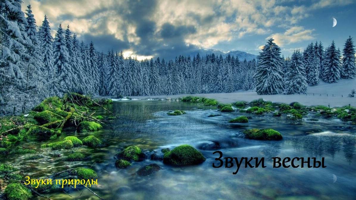 Звуки весны. Звуки природы