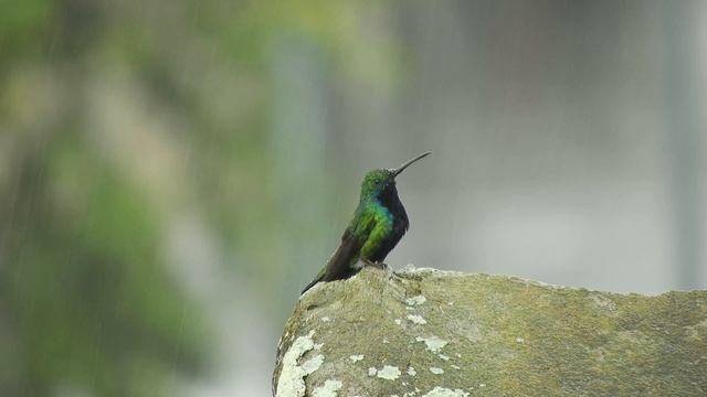 12654045-uhd_3840_2160_30fps