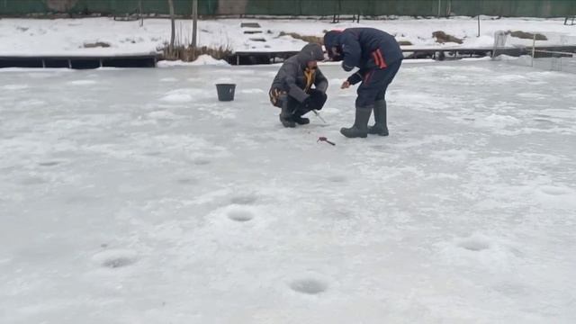 Поимки 22 января Голицыно Fish