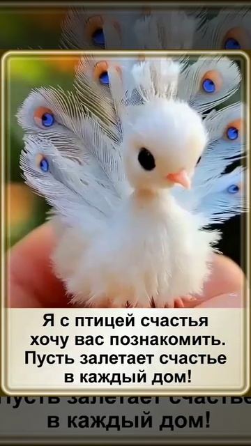 Птица счастья
