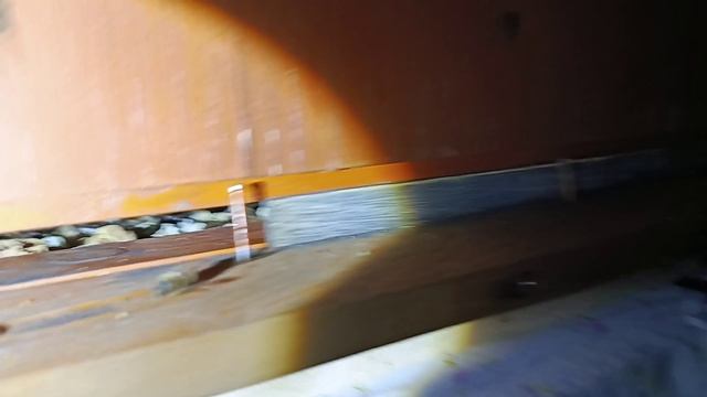 Дозимуем ли до выставки? Большой осмотр зимовки и зимовника.