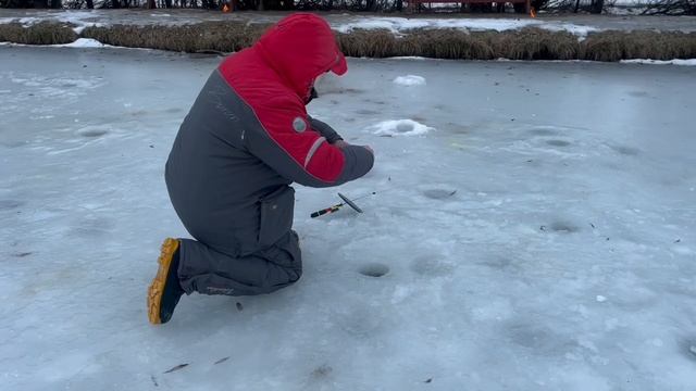 Поимки с водоема