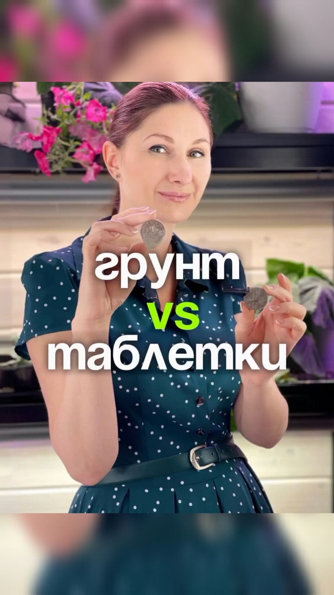 Плюсы и минусы посева в торфяные таблетки ✅
