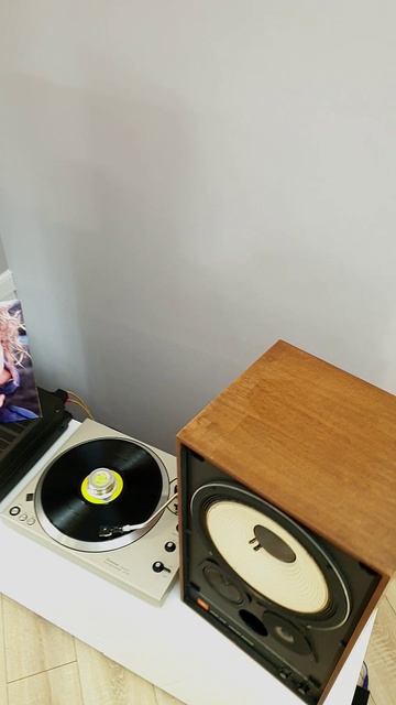 JBL4311B +TRIO7300D+Technics1301+Madonna  #vinyl #12inchvinyl #vinylrecords#shorts