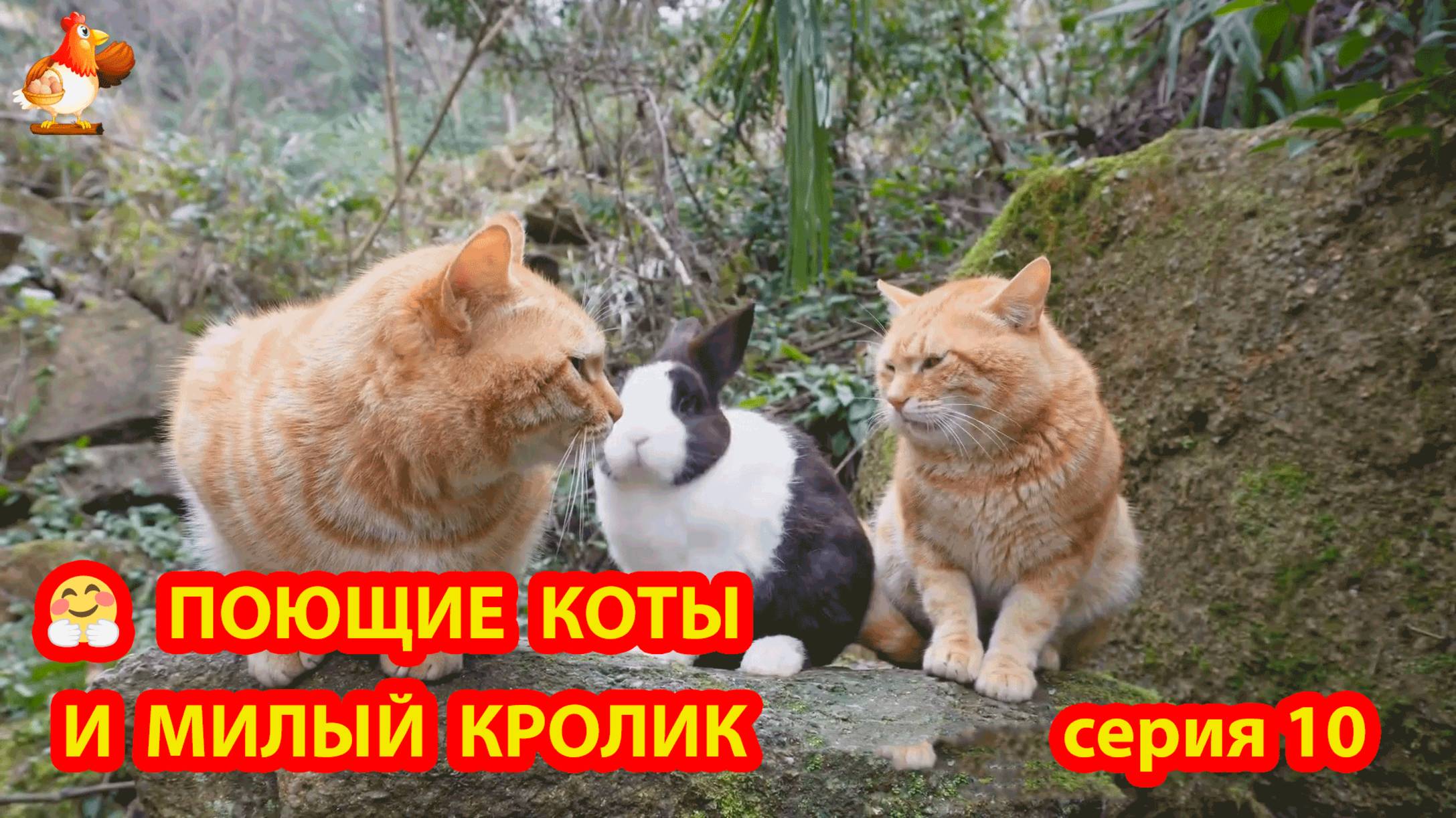 Крутые коты у птичьего двора серия 10 🐈🐈⬛😹 Природа Абхазии и подворье с птицами и животными ❣️