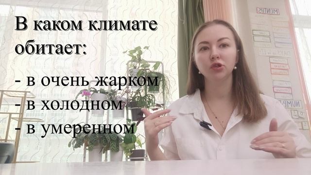 Учимся классифицировать. Первый урок по ЗООлогии для младших школьников