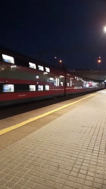 Stadler в Шереметьево Терминал B