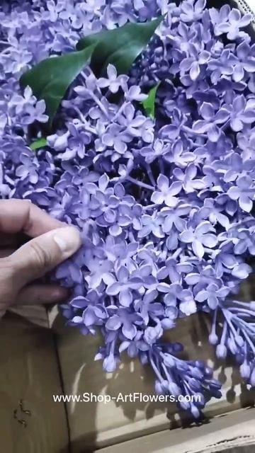 Чудо сирень 💜