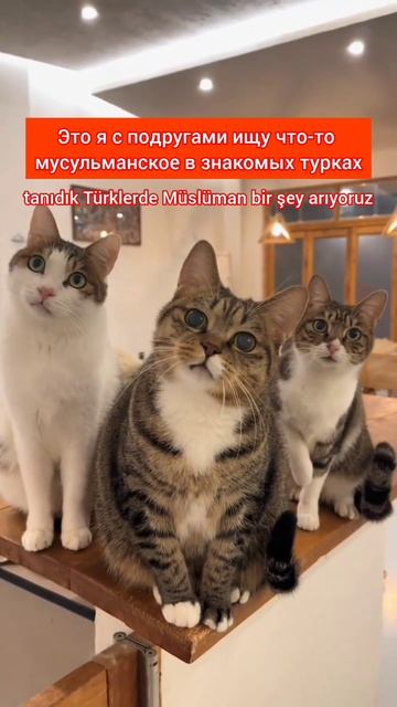 вроде что-то должно быть