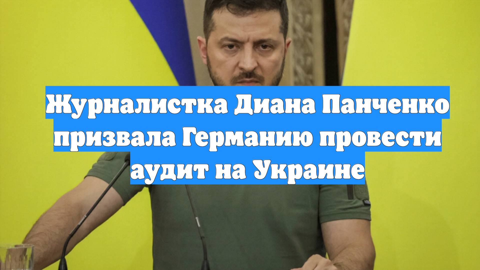 Журналистка Диана Панченко призвала Германию провести аудит на Украине