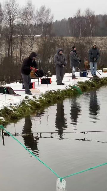 Выход форели!#платнаярыбалка #fishing#рыбалканафорель#рыбалка
