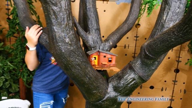 Assistant Helps Chip N Dale and the Rescue Rangers Build a Tree House