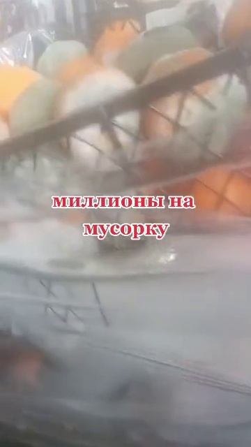 лучше пусть сгниёт, но цены не снизим 🥴