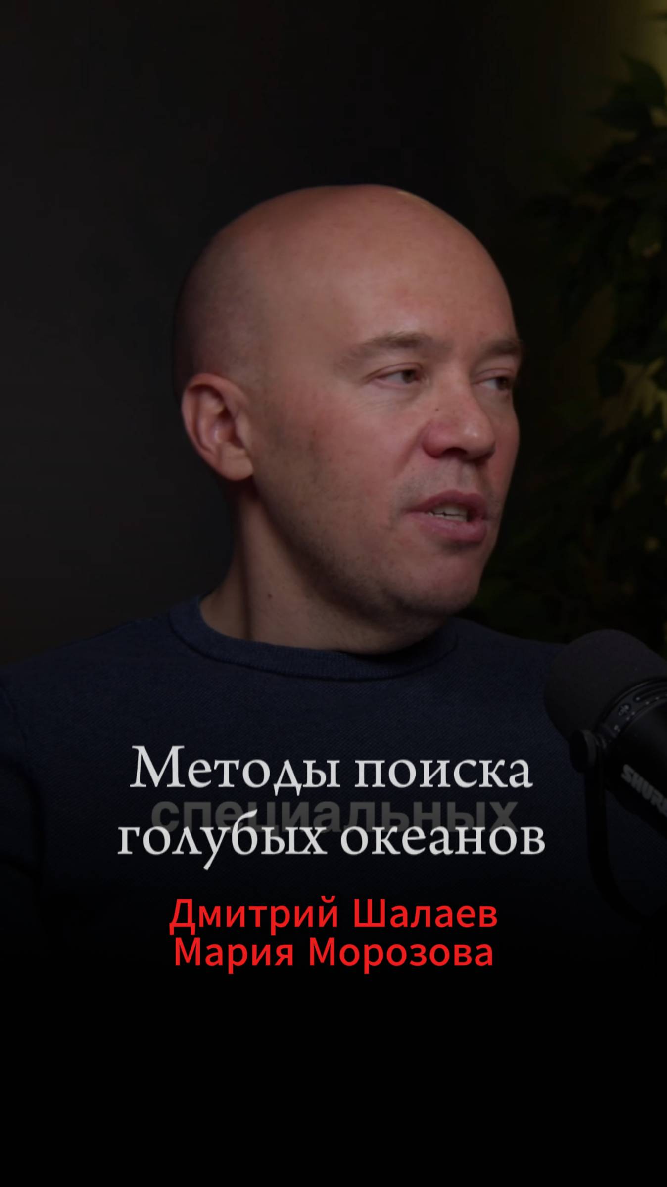 Как находить товары-голубые океаны на Вайлдберриз, Озоне и др. маркетплейсах